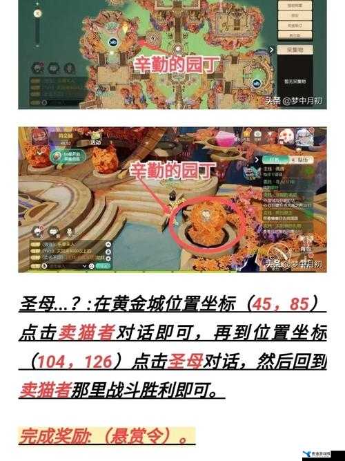 梦想新大陆光羽加点全攻略，打造你的专属战斗风格