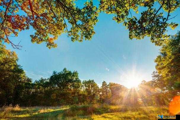 炎炎夏日，那令人无法忽视的热热热色彩